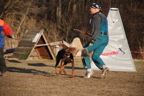 Training in Estonia 30.3 - 1.4. 2007